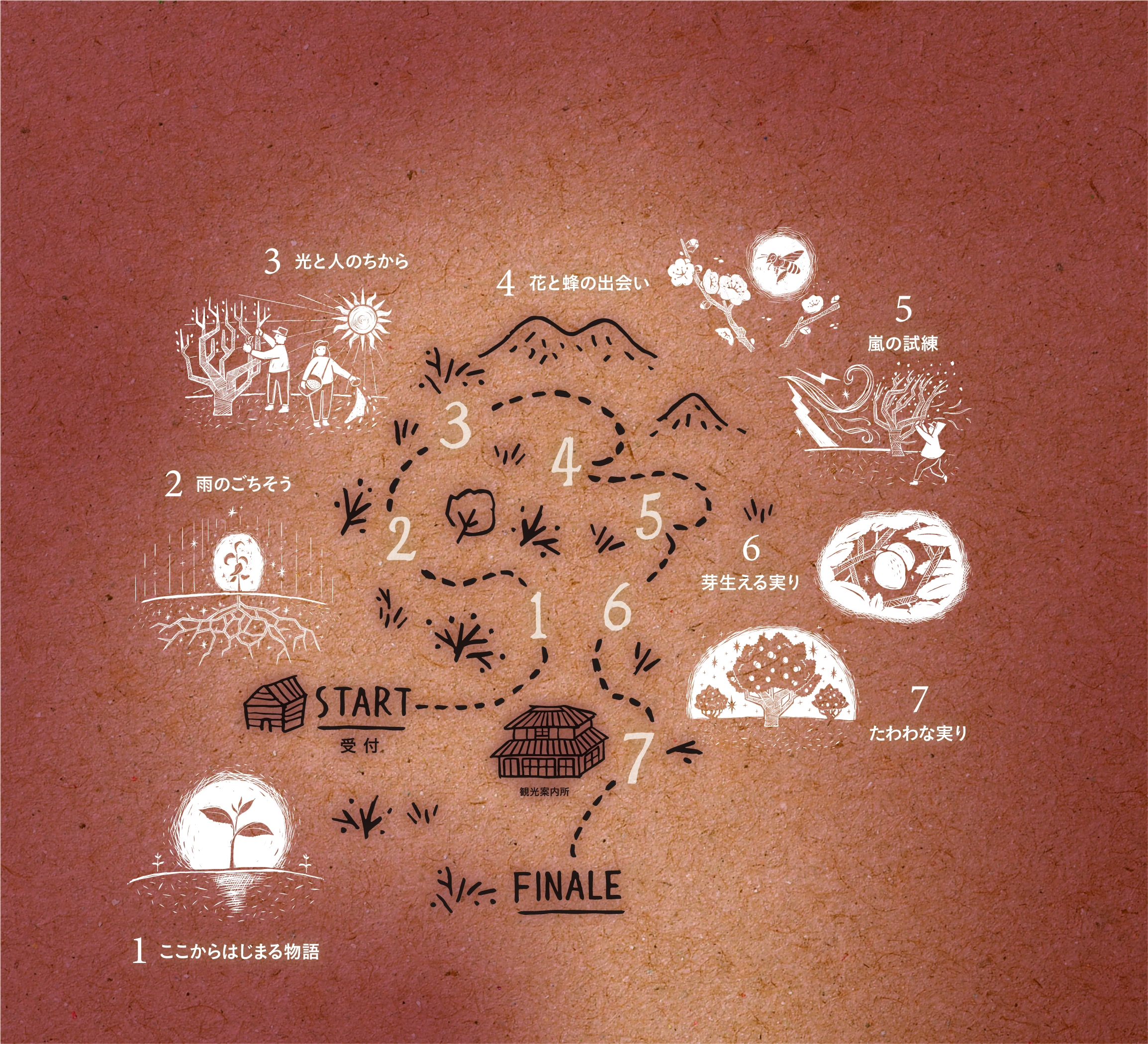 BLOOMIMNG LIGHTへのアクセス